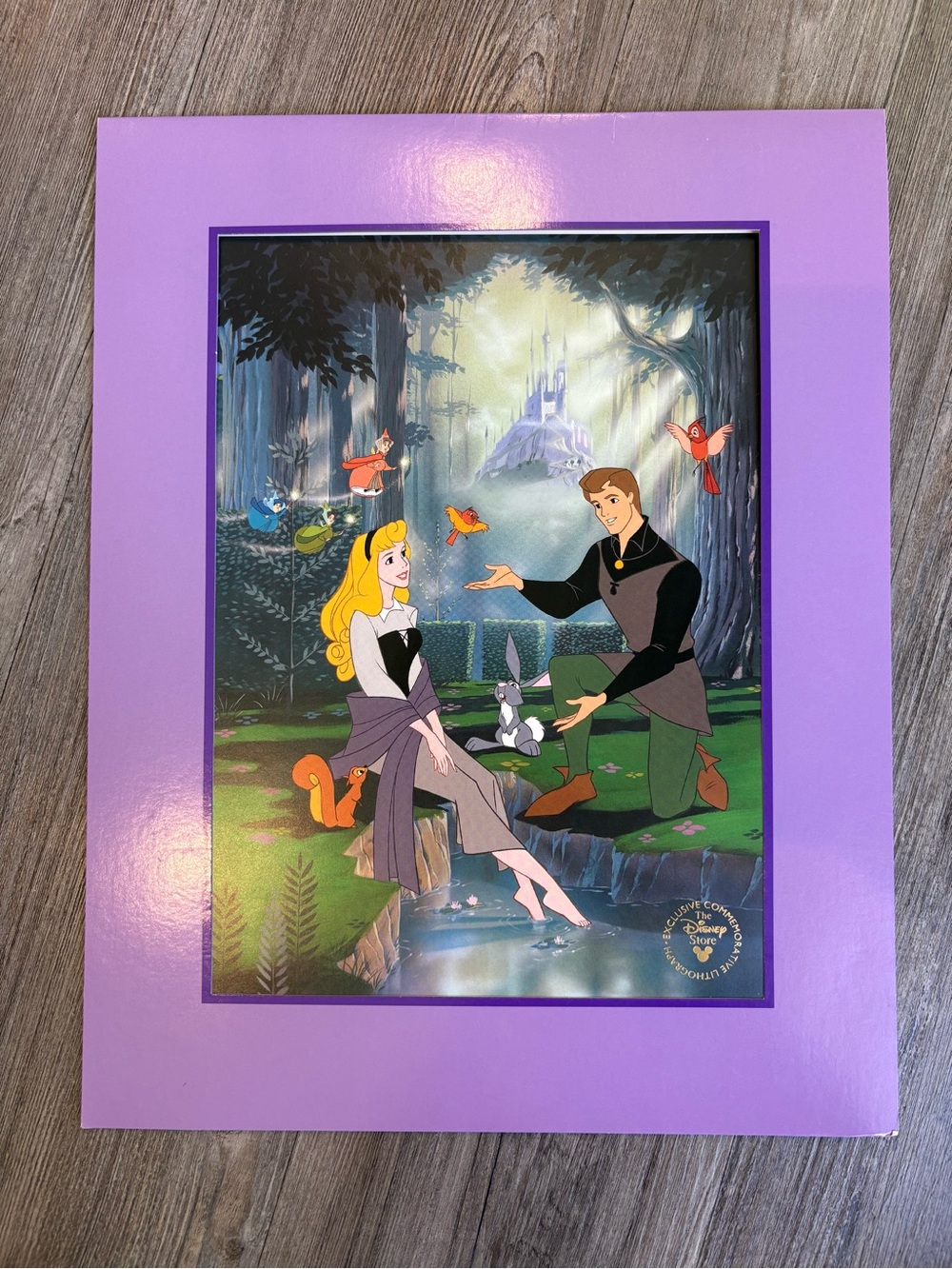 Disney Sleeping Beauty Exclusive Commemorative Lithograph